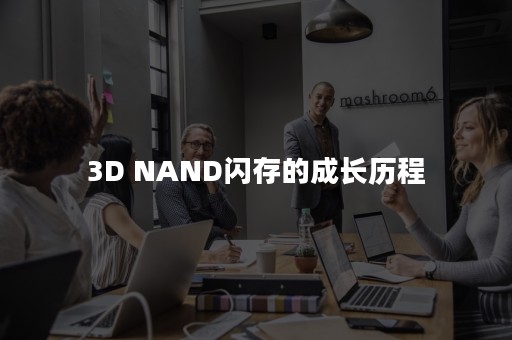 3D NAND闪存的成长历程