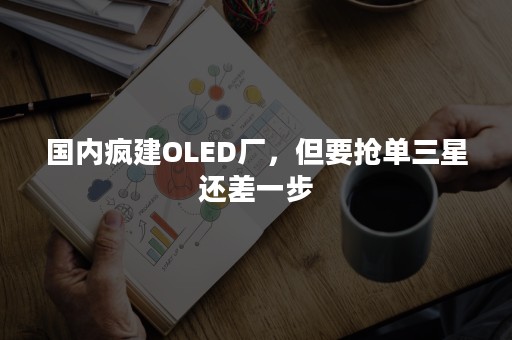 国内疯建OLED厂，但要抢单三星还差一步