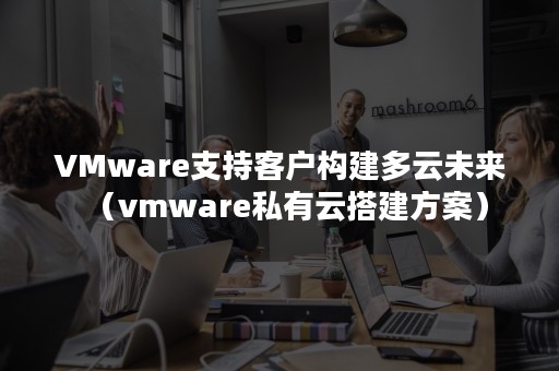 VMware支持客户构建多云未来（vmware私有云搭建方案）