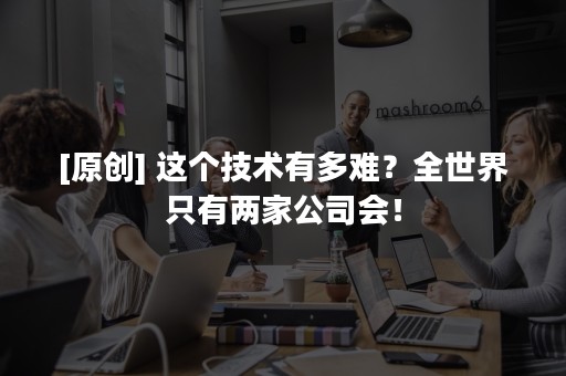 [原创] 这个技术有多难？全世界只有两家公司会！