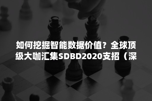 如何挖掘智能数据价值？全球顶级大咖汇集SDBD2020支招（深度挖掘数据价值）