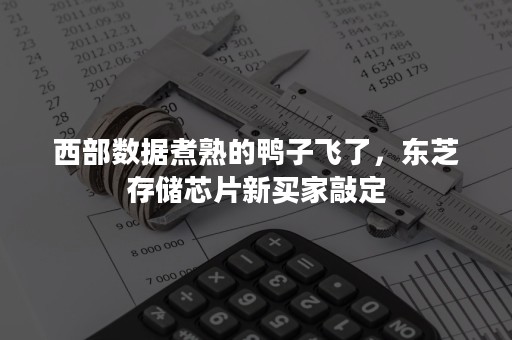 西部数据煮熟的鸭子飞了，东芝存储芯片新买家敲定