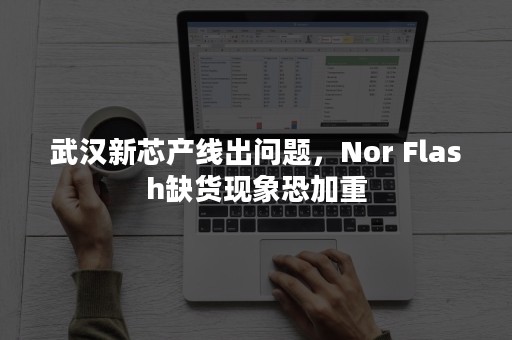 武汉新芯产线出问题，Nor Flash缺货现象恐加重