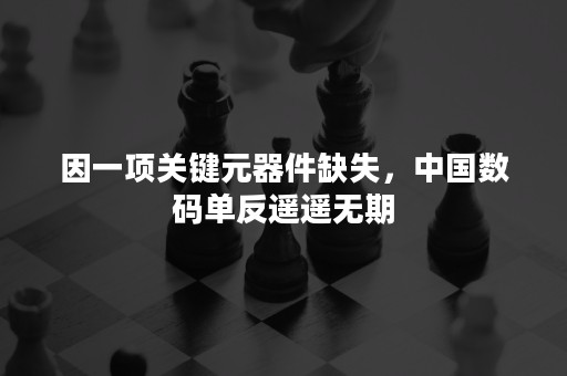 因一项关键元器件缺失，中国数码单反遥遥无期