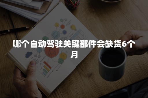 哪个自动驾驶关键部件会缺货6个月