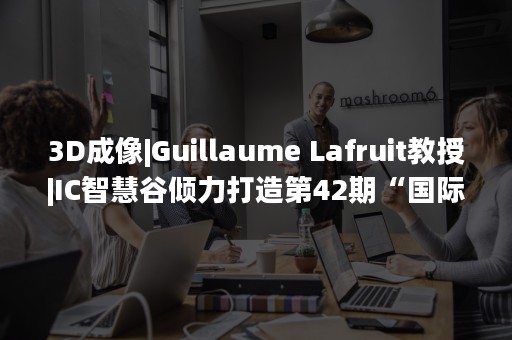 3D成像|Guillaume Lafruit教授|IC智慧谷倾力打造第42期“国际名家讲堂”