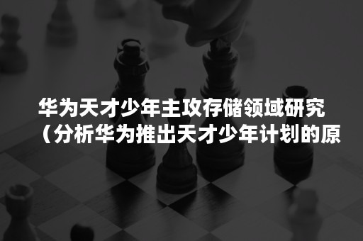 华为天才少年主攻存储领域研究（分析华为推出天才少年计划的原因）