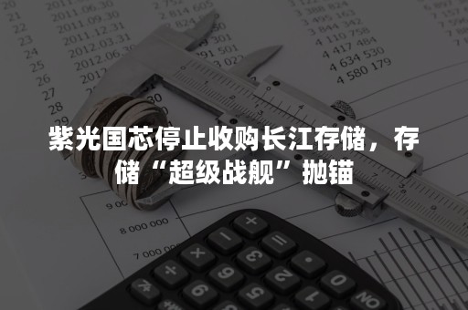 紫光国芯停止收购长江存储，存储“超级战舰”抛锚