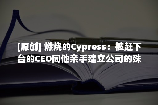 [原创] 燃烧的Cypress：被赶下台的CEO同他亲手建立公司的殊死战斗