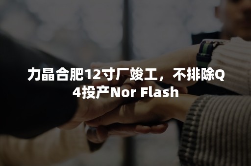 力晶合肥12寸厂竣工，不排除Q4投产Nor Flash