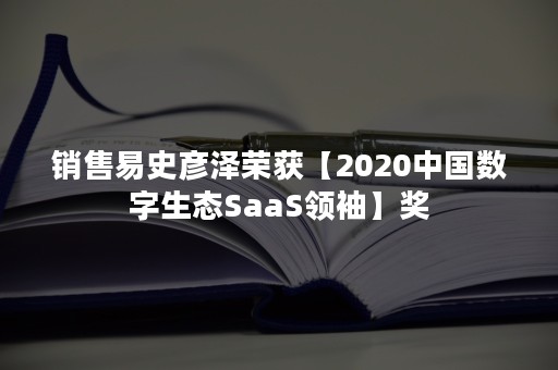 销售易史彦泽荣获【2020中国数字生态SaaS领袖】奖