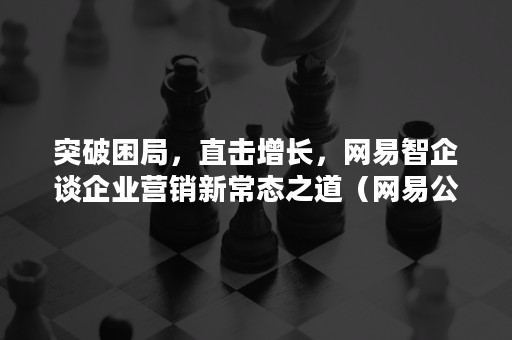 突破困局，直击增长，网易智企谈企业营销新常态之道（网易公司企业战略）