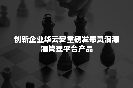 创新企业华云安重磅发布灵洞漏洞管理平台产品