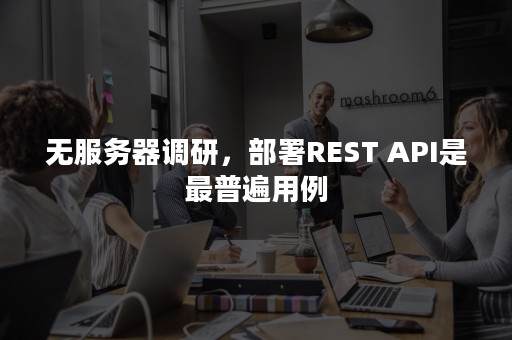 无服务器调研，部署REST API是最普遍用例