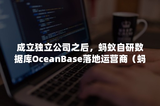 成立独立公司之后，蚂蚁自研数据库OceanBase落地运营商（蚂蚁集团 oceanbase）