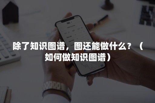 除了知识图谱，图还能做什么？（如何做知识图谱）