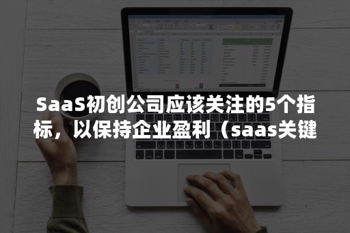 SaaS初创公司应该关注的5个指标，以保持企业盈利（saas关键指标）