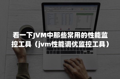 看一下JVM中那些常用的性能监控工具（jvm性能调优监控工具）