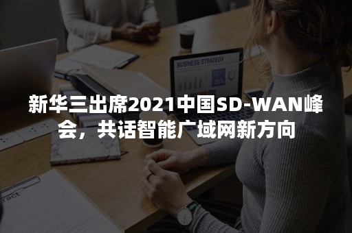 新华三出席2021中国SD-WAN峰会，共话智能广域网新方向