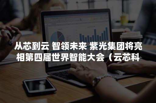 从芯到云 智领未来 紫光集团将亮相第四届世界智能大会（云芯科技是干什么的）