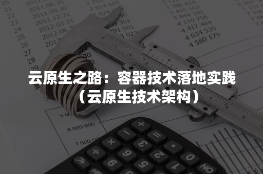 云原生之路：容器技术落地实践（云原生技术架构）