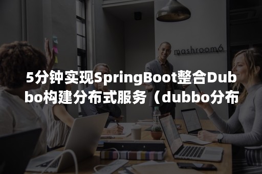 5分钟实现SpringBoot整合Dubbo构建分布式服务（dubbo分布式服务架构）