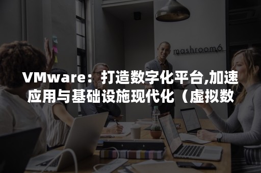 VMware：打造数字化平台,加速应用与基础设施现代化（虚拟数字化）