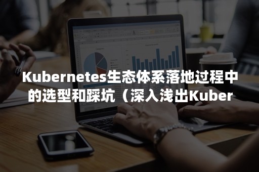 Kubernetes生态体系落地过程中的选型和踩坑（深入浅出Kubernetes项目实战手册）