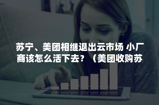 苏宁、美团相继退出云市场 小厂商该怎么活下去？（美团收购苏宁）