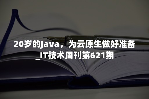 20岁的Java，为云原生做好准备_IT技术周刊第621期