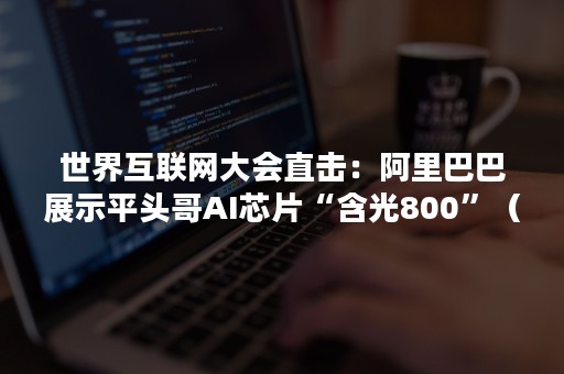 世界互联网大会直击：阿里巴巴展示平头哥AI芯片“含光800”（平头哥 阿里芯片）