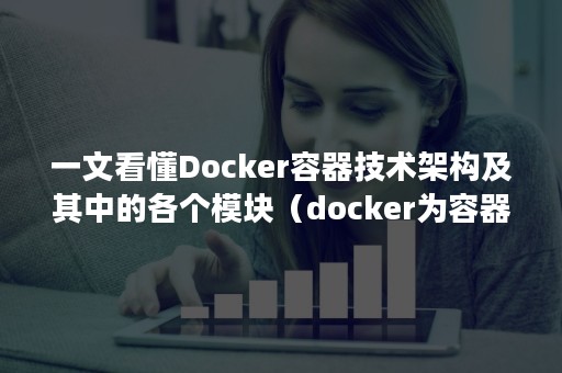 一文看懂Docker容器技术架构及其中的各个模块（docker为容器技术定义了一套标准）