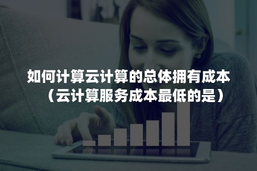 如何计算云计算的总体拥有成本（云计算服务成本最低的是）