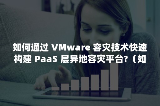 如何通过 VMware 容灾技术快速构建 PaaS 层异地容灾平台?（如何通过车牌号查询车主）