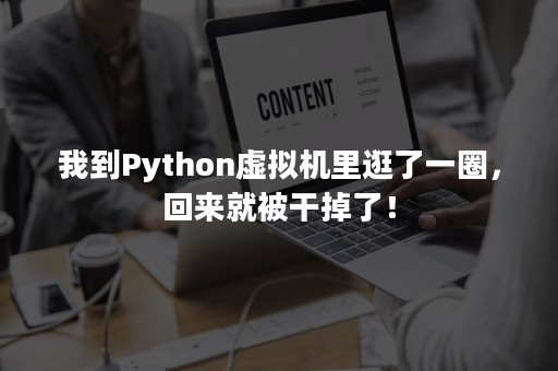 我到Python虚拟机里逛了一圈，回来就被干掉了！