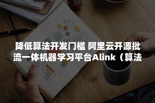 降低算法开发门槛 阿里云开源批流一体机器学习平台Alink（算法的要求）