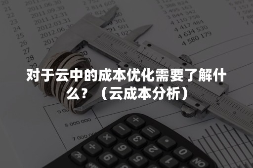 对于云中的成本优化需要了解什么？（云成本分析）