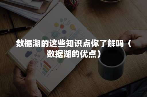 数据湖的这些知识点你了解吗（数据湖的优点）