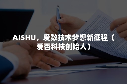 AISHU，爱数技术梦想新征程（爱否科技创始人）