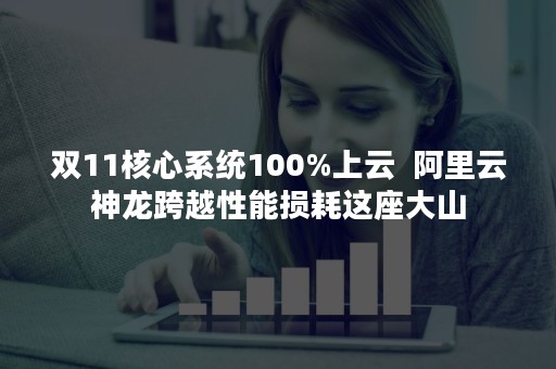 双11核心系统100%上云  阿里云神龙跨越性能损耗这座大山