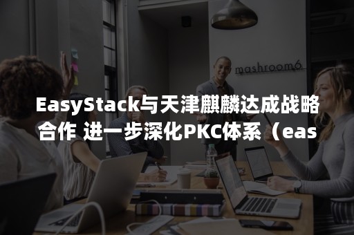 EasyStack与天津麒麟达成战略合作 进一步深化PKC体系（easystack公司）