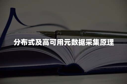 分布式及高可用元数据采集原理