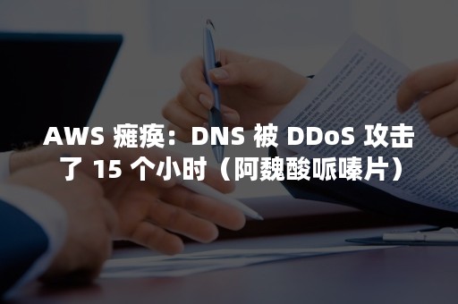 AWS 瘫痪：DNS 被 DDoS 攻击了 15 个小时（阿魏酸哌嗪片）