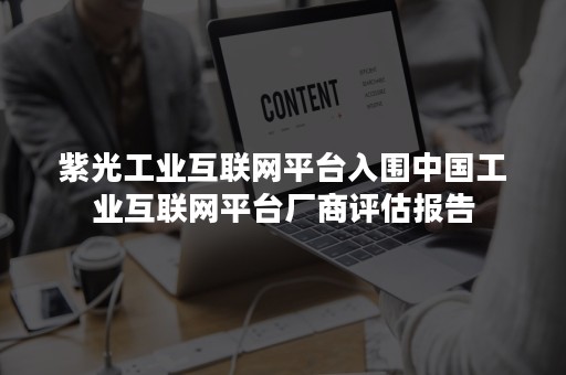 紫光工业互联网平台入围中国工业互联网平台厂商评估报告