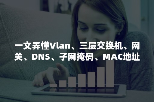 一文弄懂Vlan、三层交换机、网关、DNS、子网掩码、MAC地址（交换机各vlan三层口的IP可以在同子网吗）