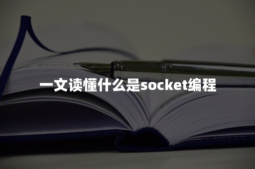 一文读懂什么是socket编程