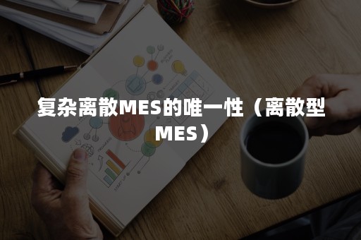 复杂离散MES的唯一性（离散型MES）