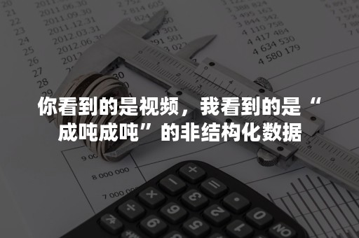 你看到的是视频，我看到的是“成吨成吨”的非结构化数据