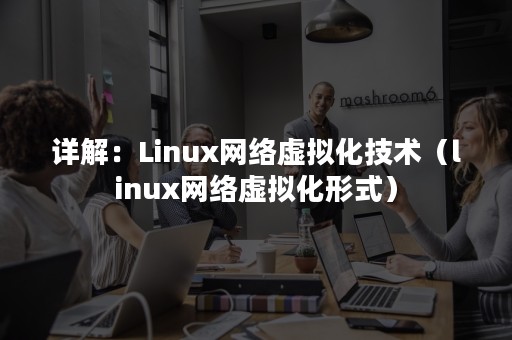 详解：Linux网络虚拟化技术（linux网络虚拟化形式）