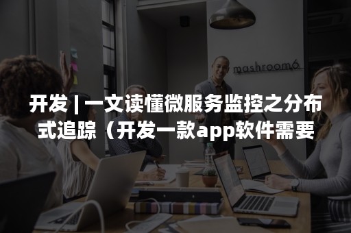 开发 | 一文读懂微服务监控之分布式追踪（开发一款app软件需要多少钱）